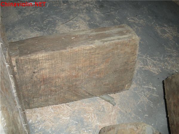 dscn5316.jpg