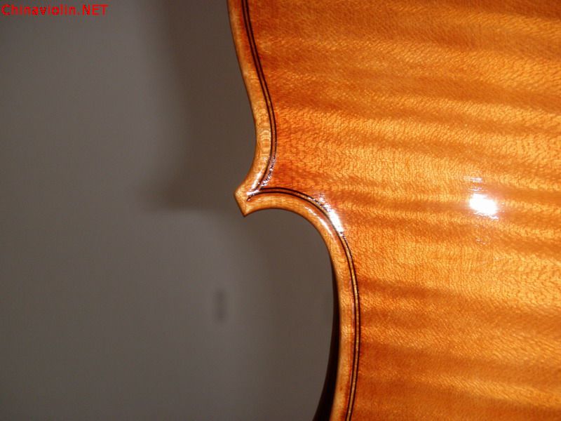 p1010766.jpg