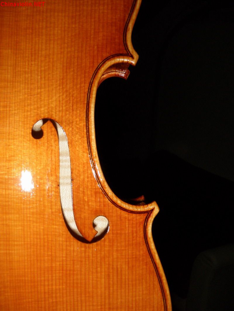 p1010740.jpg