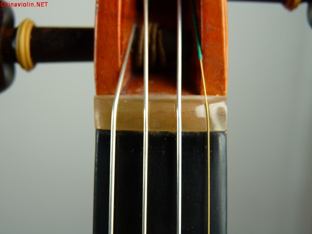06.jpg