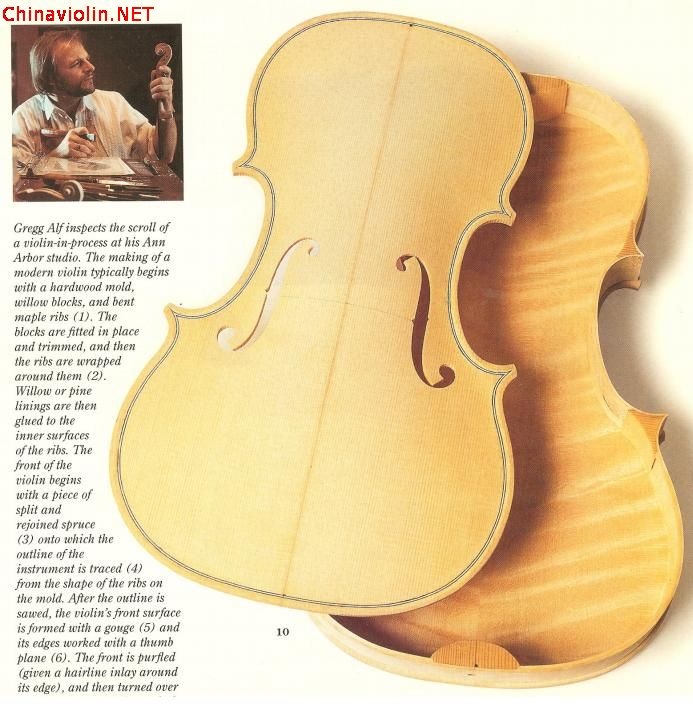 violin06.jpg