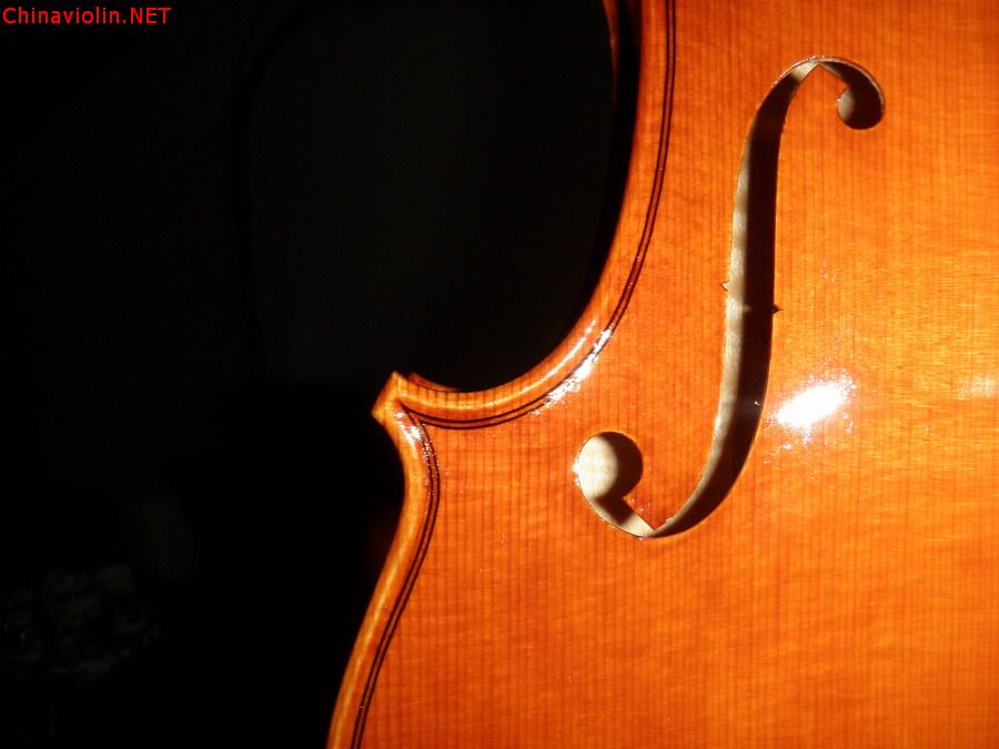 p1010179.jpg