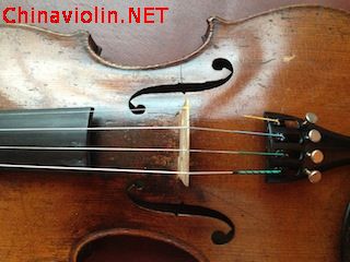 violin-4.jpg