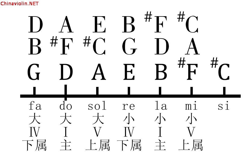 d调-6.jpg