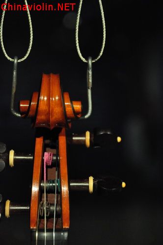 _dsc0209_调整大小.jpg