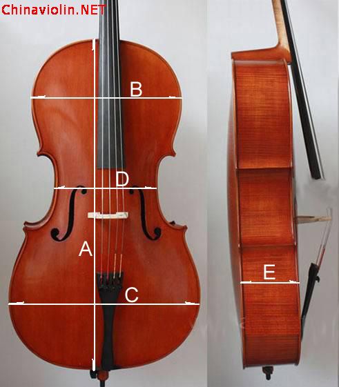 cellosize.jpg