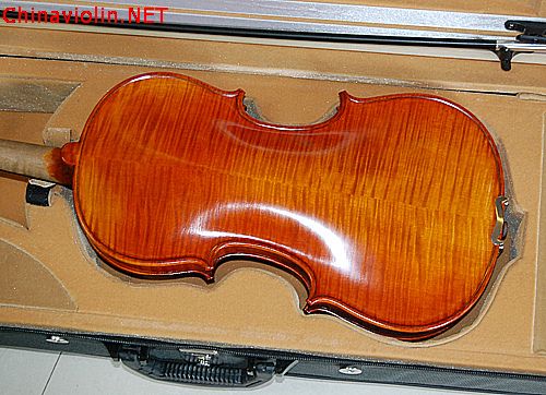 8557-4f.jpg
