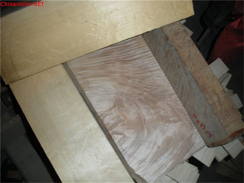dscn6560.jpg