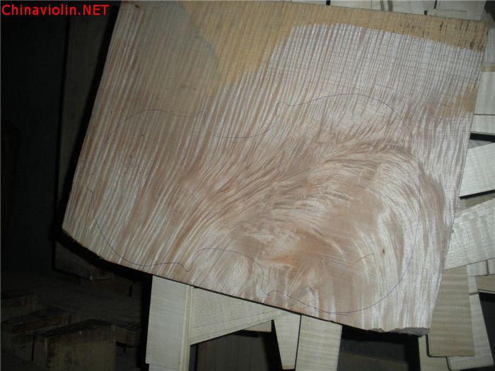 dscn6553.jpg