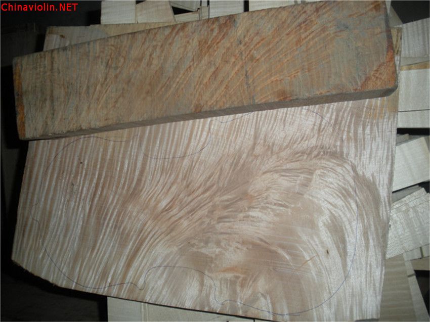 dscn6554.jpg