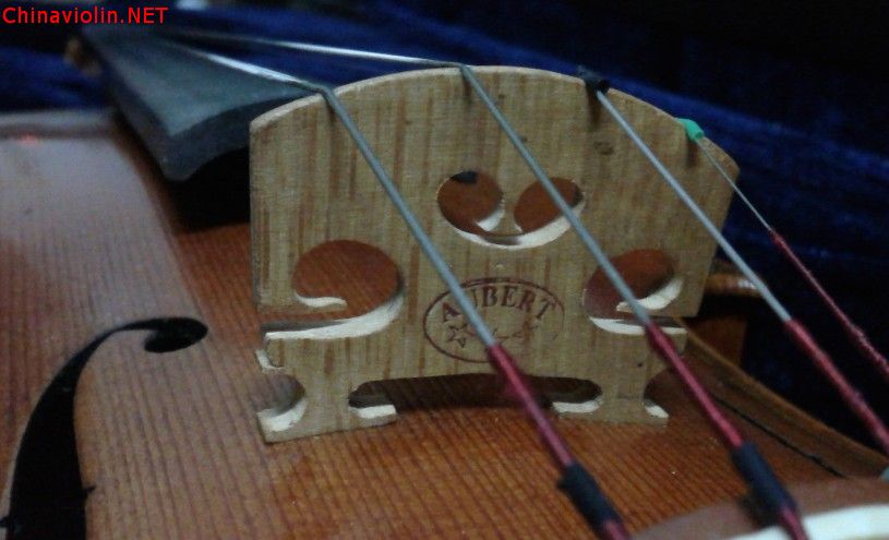 qinma.jpg
