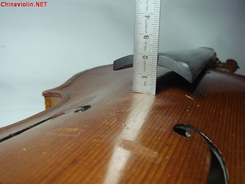 dsc01598_副本.jpg