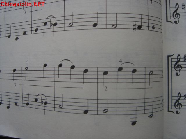 dsc05027.jpg
