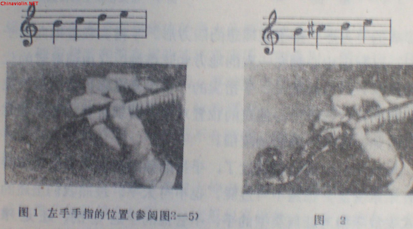 100_9070.jpg