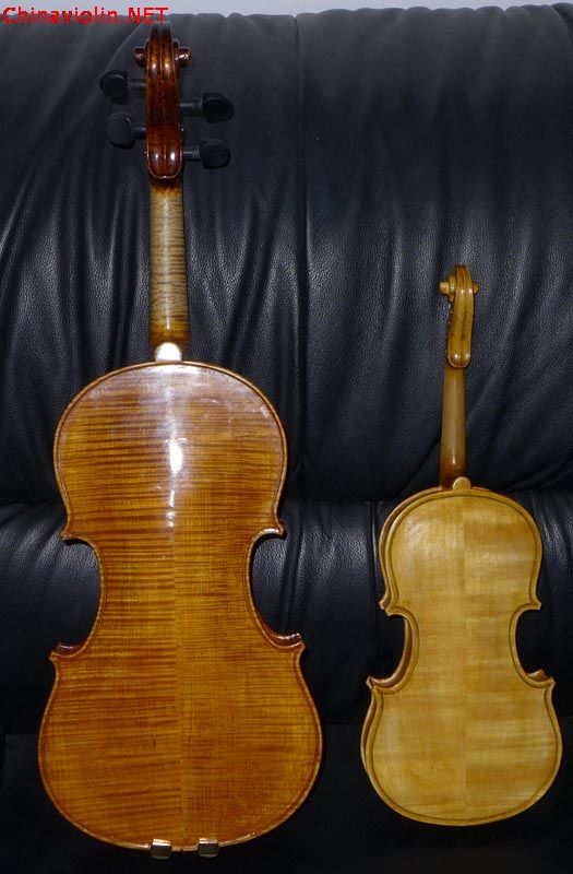 p1000769.jpg