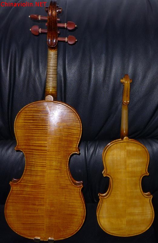 p1000771.jpg