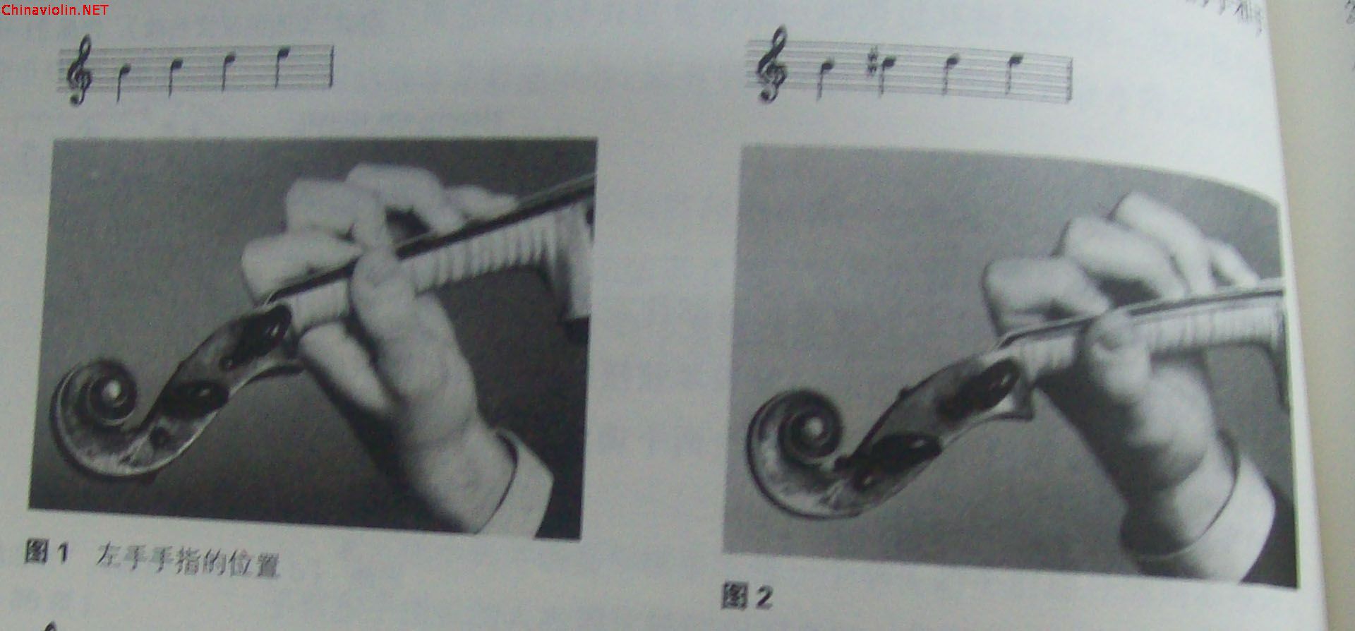 100_9103.jpg