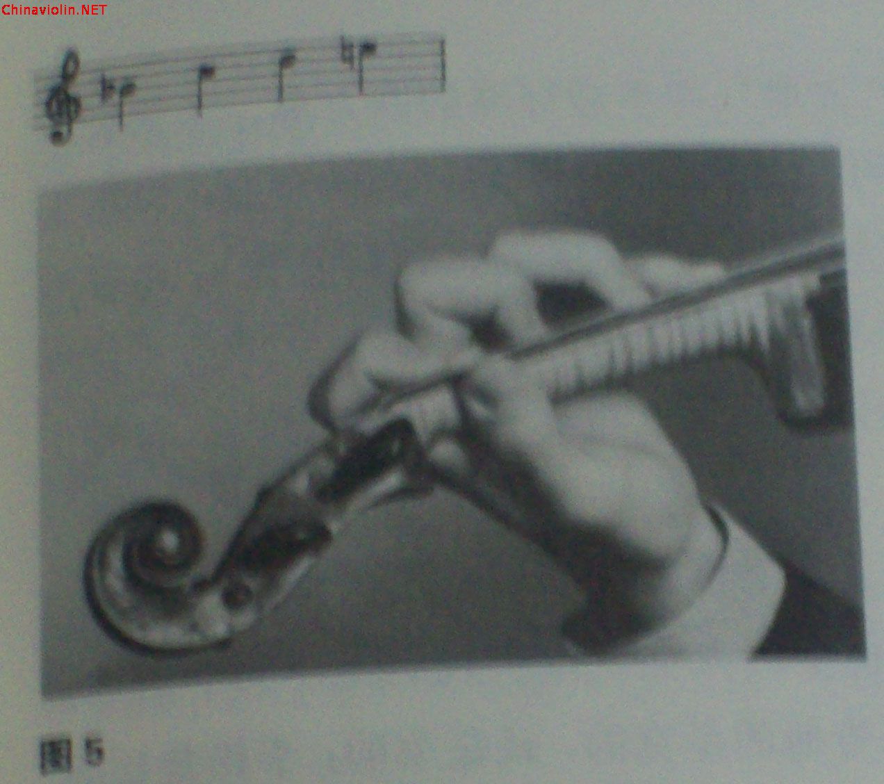 100_9099.jpg