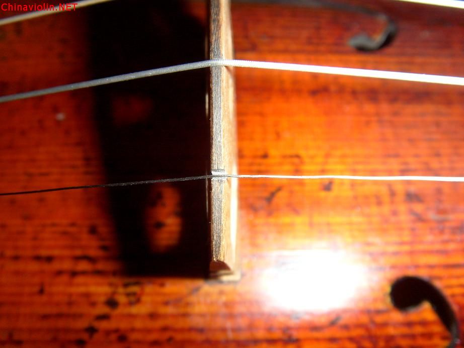 s73r4115.jpg
