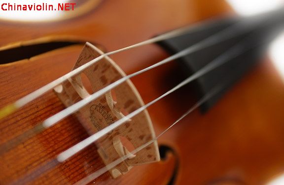violinclose.jpg