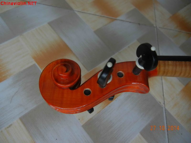 dscn4982_调整大小.jpg
