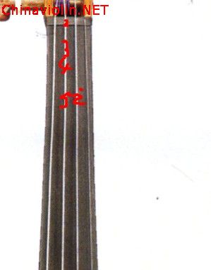 3335.jpg