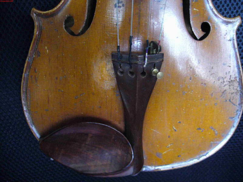 p1050374.jpg