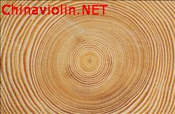 pnsexp900786277.jpg