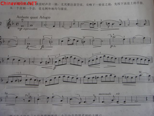 dsc05034.jpg