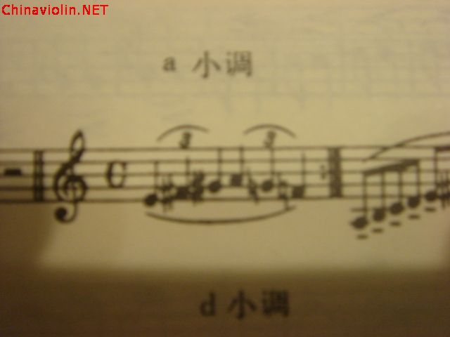 dsc05036.jpg