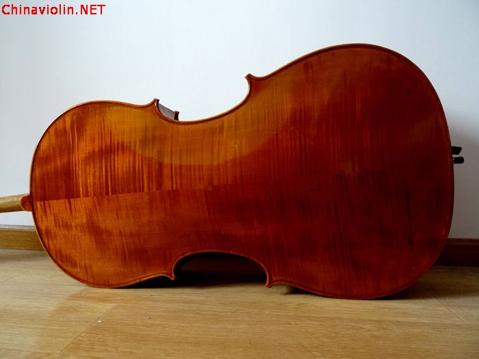我新买的大提琴呢