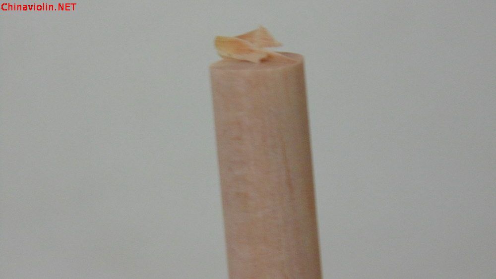 dsc03253.jpg