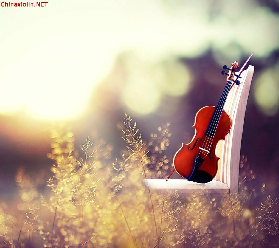 动动的学琴笔记