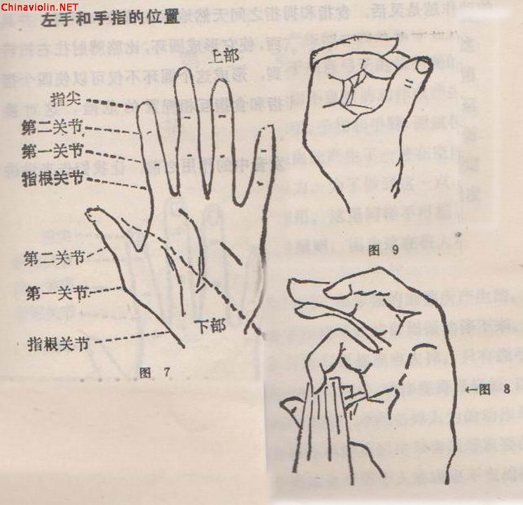 左手大拇指的重要作用