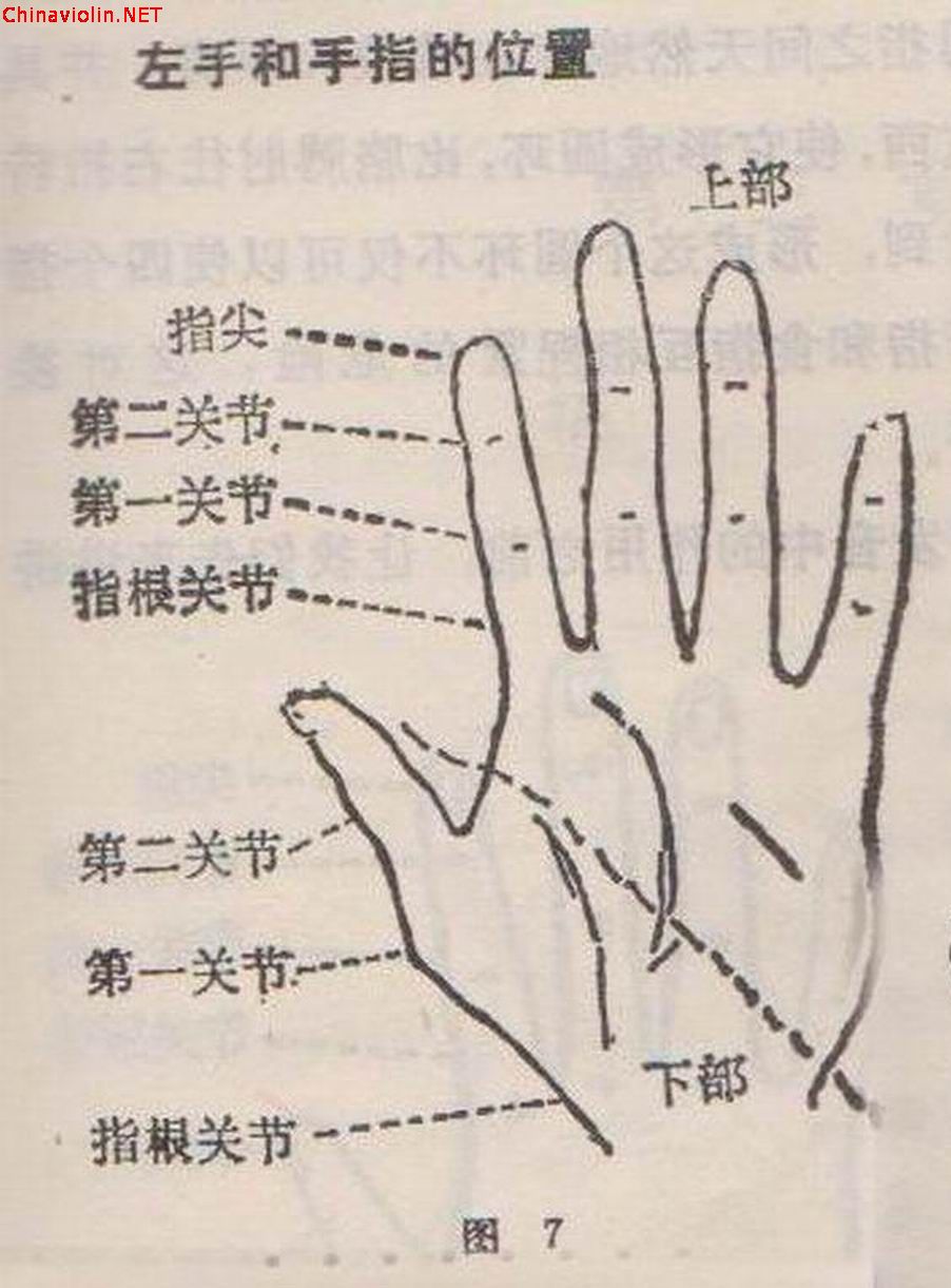 左手关节名称…….jpg