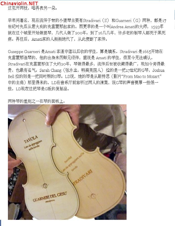 violin03.jpg
