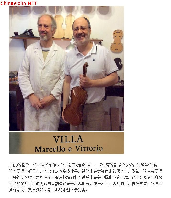 violin05.jpg