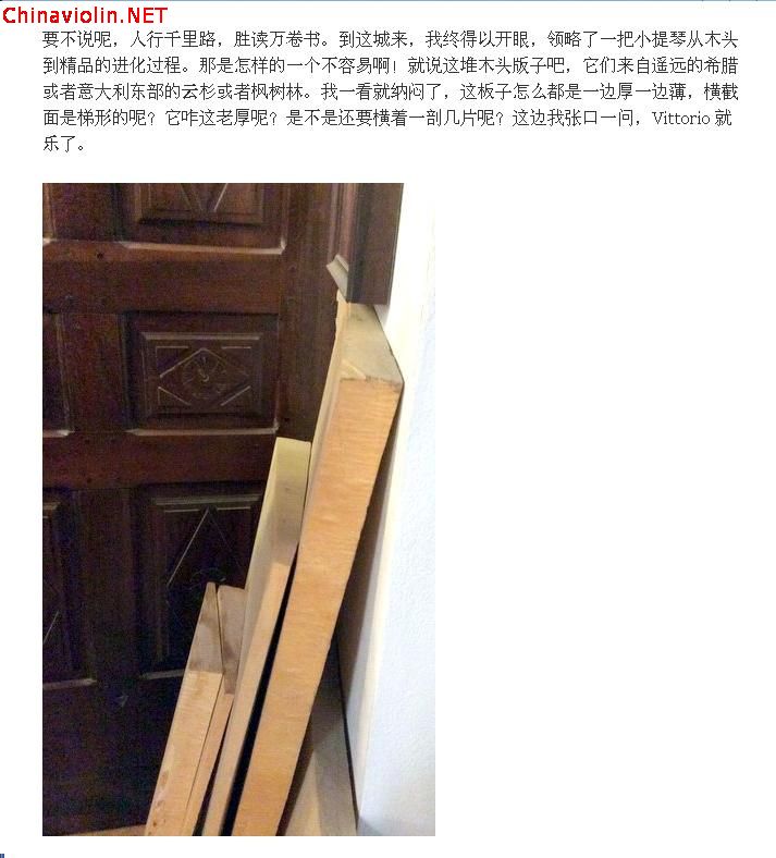 violin19.jpg