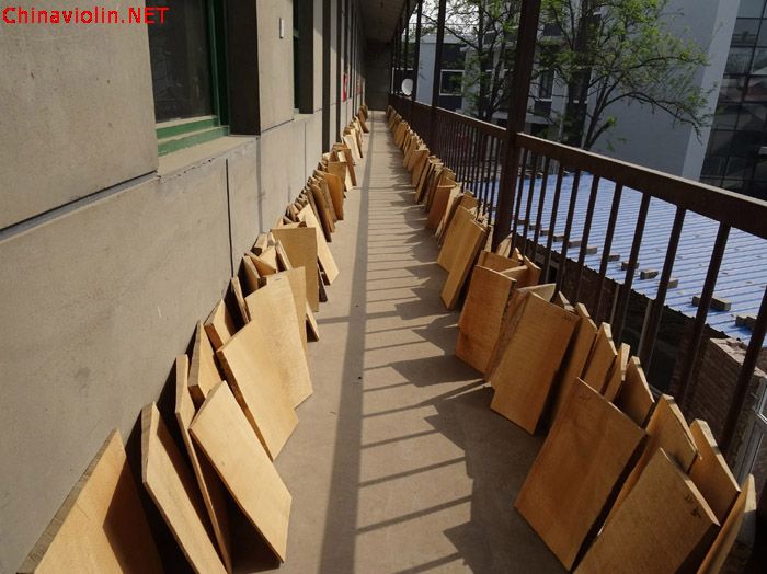 一个提琴厂