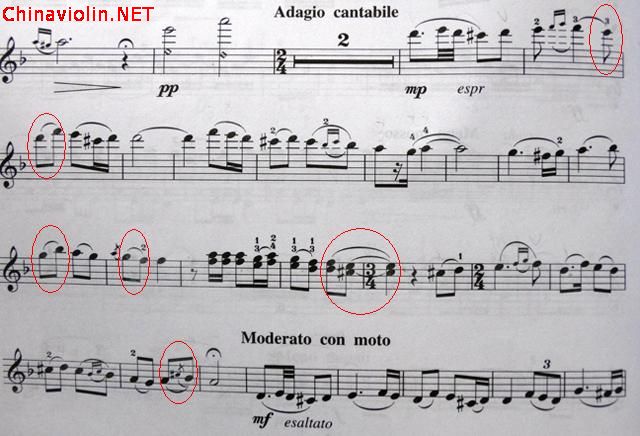 花儿为什么这样红