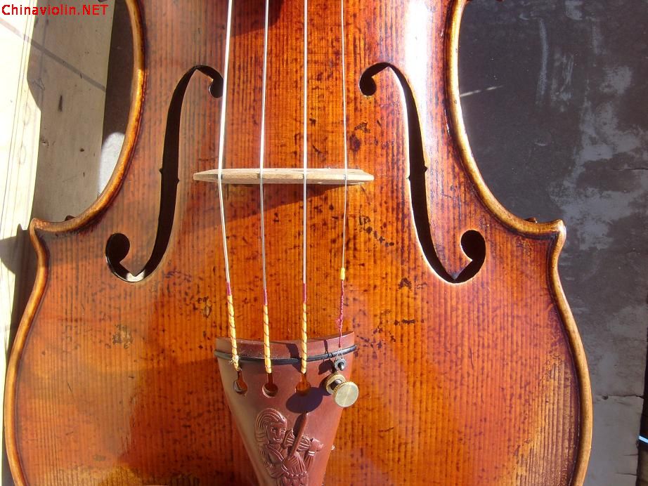s73r3892.jpg
