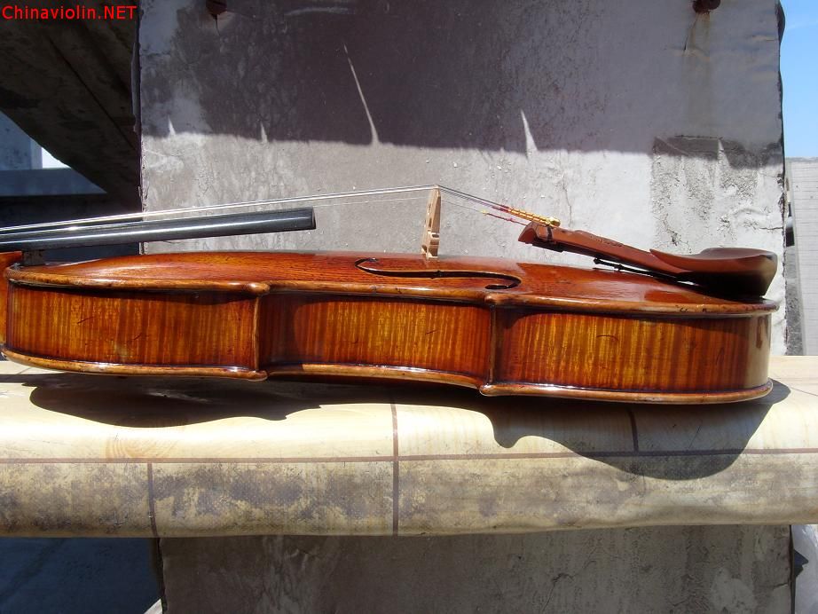 s73r3890.jpg