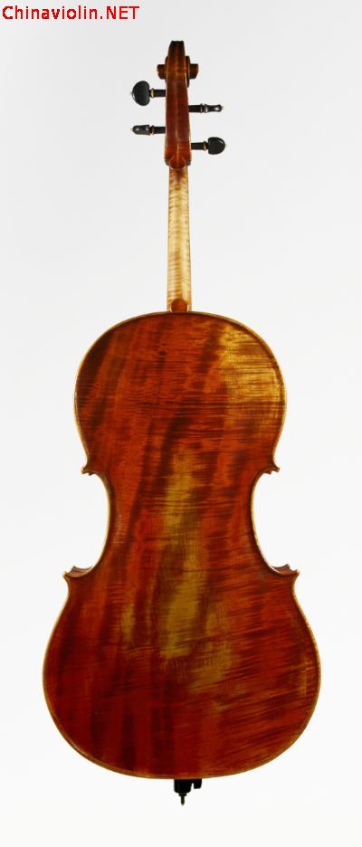 cl1251.back.mediumres.jpg