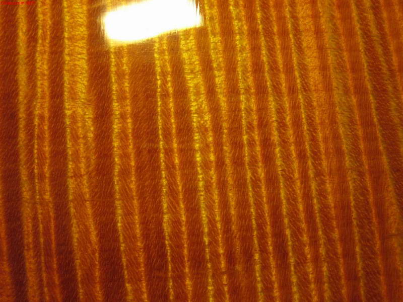 img_5866.jpg