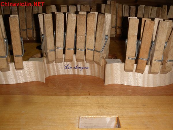 p1010633.jpg