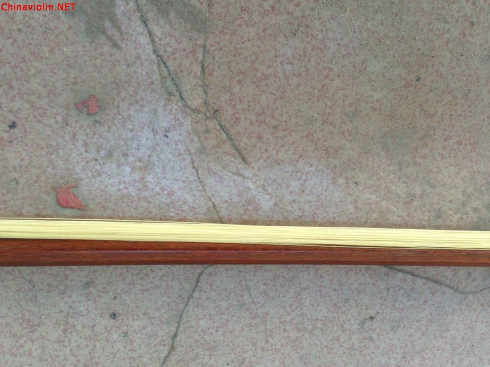 照片 001.jpg