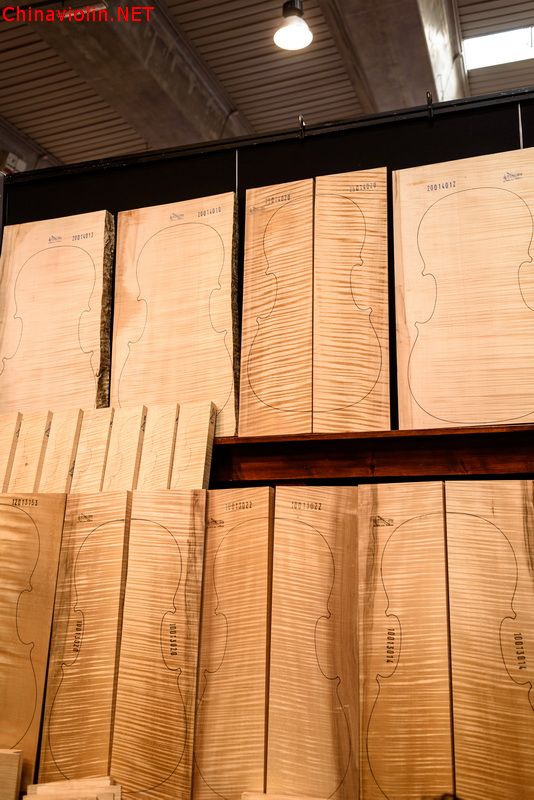 门外汉如何挑选提琴木材