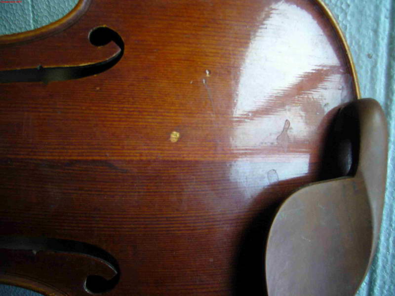 p1050550.jpg
