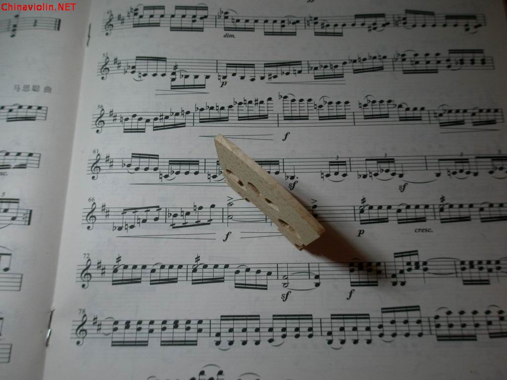 p2120070.jpg
