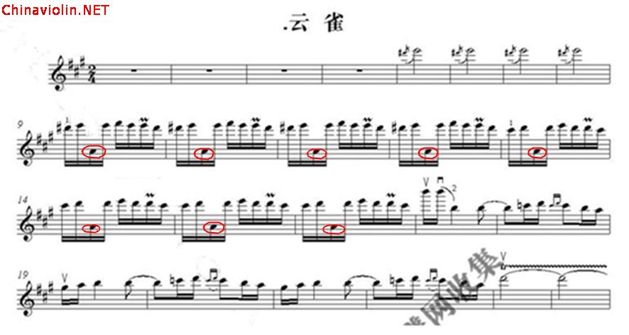 云雀_副本.jpg